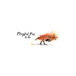 Playful Fox & Co coupons and promo codes