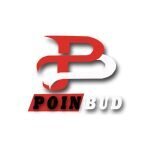 Poinbud coupons and promo codes