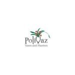 PoliVaz coupons and promo codes