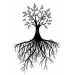 Root Naturally coupons and promo codes