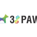38 Paw coupons and promo codes