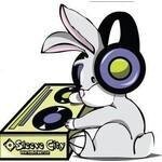 Sleeve City coupons and promo codes