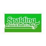 Bakker Spalding coupons and promo codes