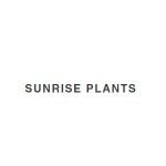 Sunrise Plants coupons and promo codes