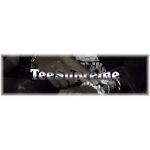 TeeSupreme coupons and promo codes