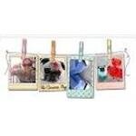 Thecuriouspug.com coupons and promo codes