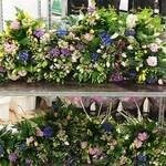 The Flower Box coupons and promo codes