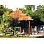 Tiki Shack Importer coupons and promo codes