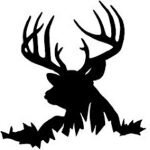 Timber Whitetails coupons and promo codes