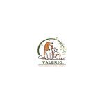 Valerio Paws coupons and promo codes