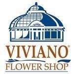 Viviano Flower Shop coupons and promo codes
