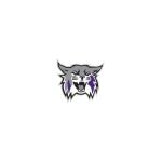 Weber State Athletics coupons and promo codes