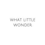 What Little Wonder coupons and promo codes