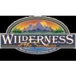 Wilderness At The Smokies coupons and promo codes
