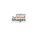 Wild Images Florida coupons and promo codes