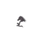 Windswept Horse coupons and promo codes
