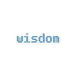 Wisdom-soft coupons and promo codes