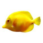 WPYellowFish coupons and promo codes
