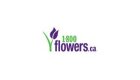 1-800-flowers Canada