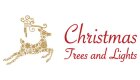 Christmas Trees and Lights