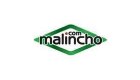 Malincho International