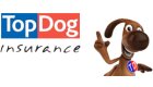 Top Dog Insurance